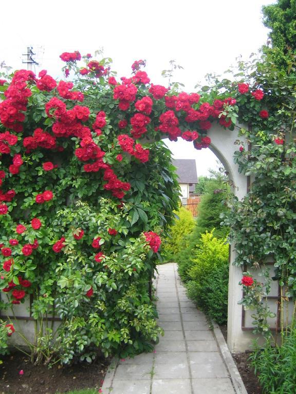 Bellavilla Βίλνιους Εξωτερικό φωτογραφία